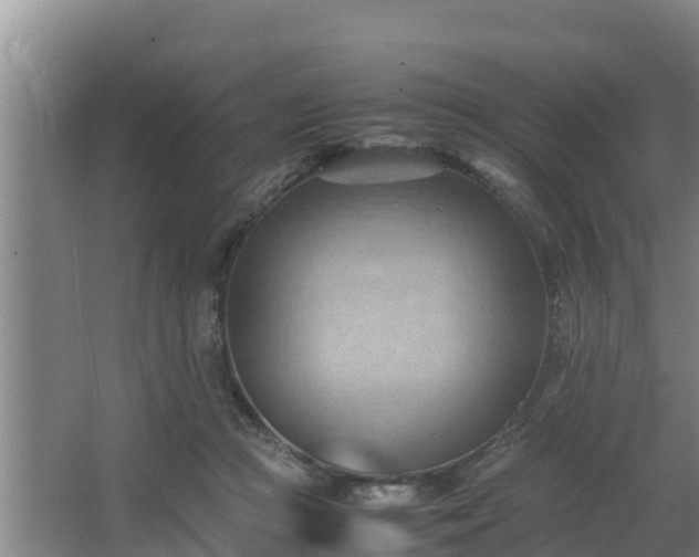 X0000064040361200602031603