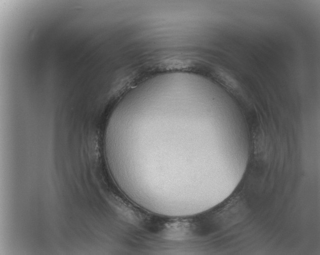 X0000064040362200602031603