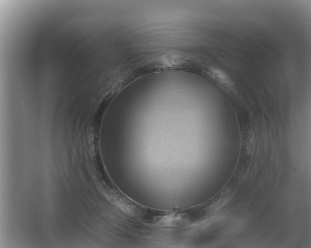 X0000064040366200602031603