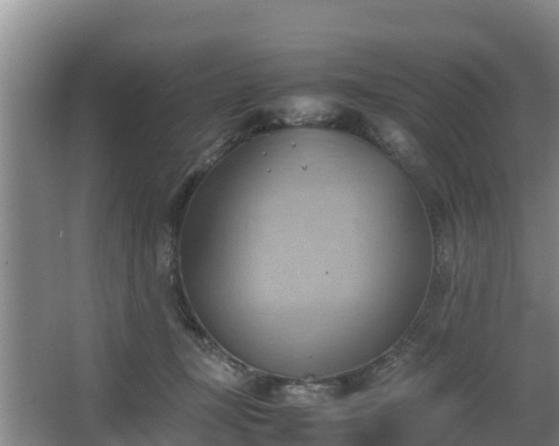 X0000064040367200602031603