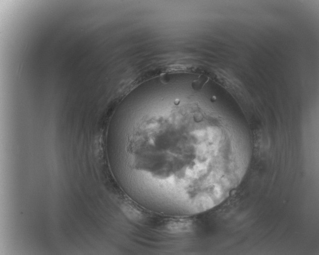 X0000064040369200602031603