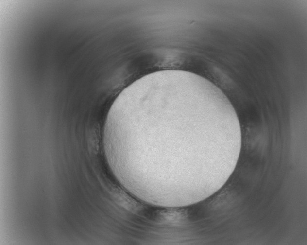 X0000064040370200602031604