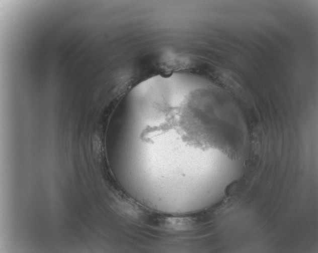 X0000064040371200602031604