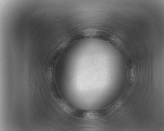 X0000064040372200602031604