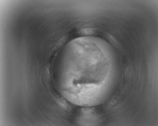 X0000064040373200602031604