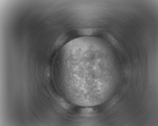 X0000064040374200602031604