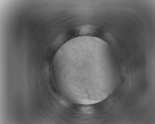 X0000064040375200602031604