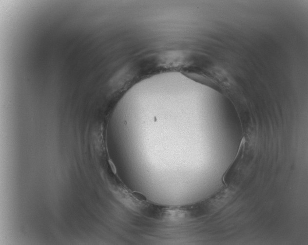 X0000064040376200602031604