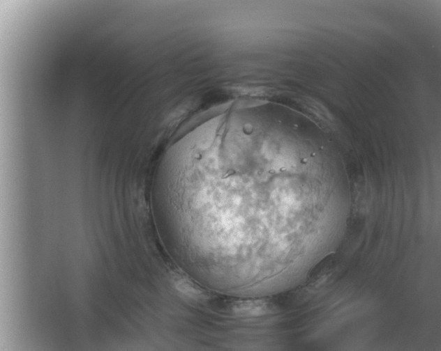 X0000064040377200602031604