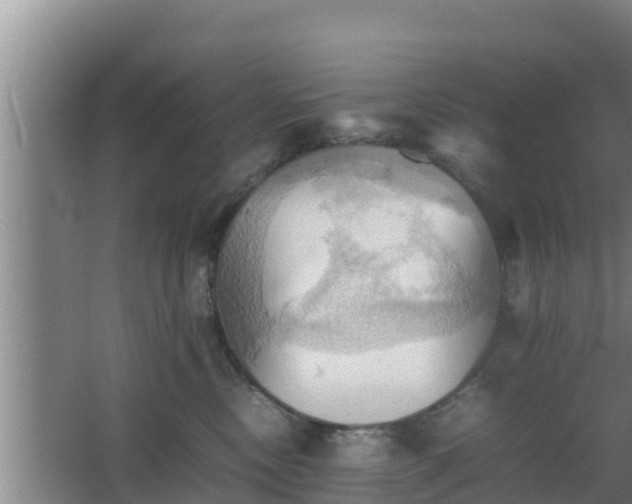 X0000064040378200602031604