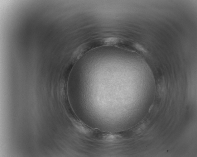 X0000064040379200602031604