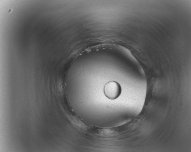 X0000064040380200602031604