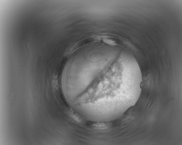 X0000064040381200602031604