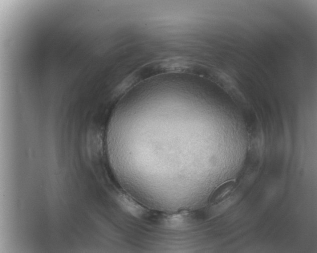 X0000064040382200602031604