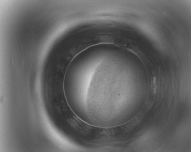 X0000064040383200602031604