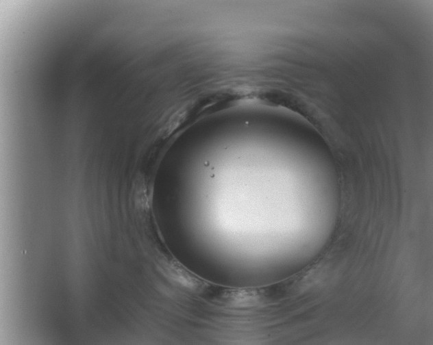 X0000064040384200602031604