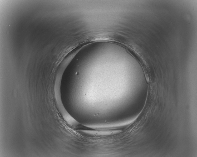 X0000064040385200602031603