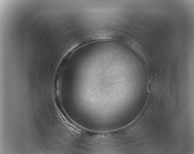 X0000064040386200602031603