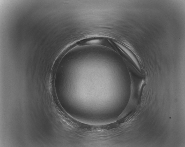 X0000064040387200602031603