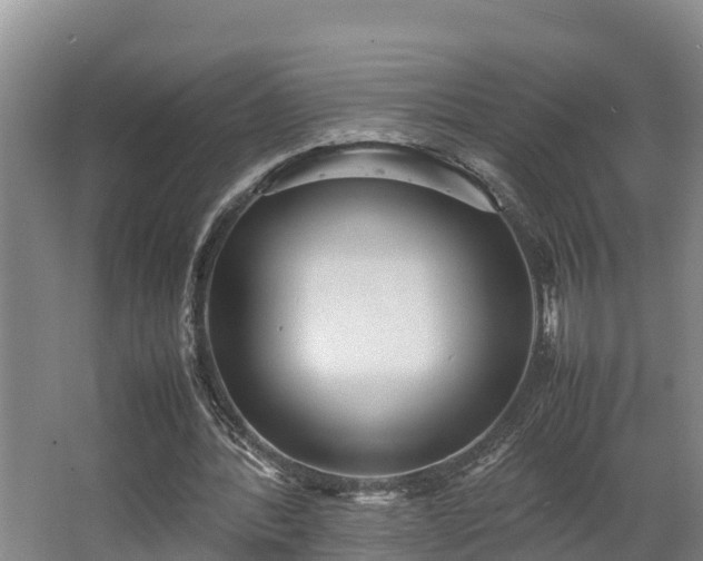 X0000064040388200602031603