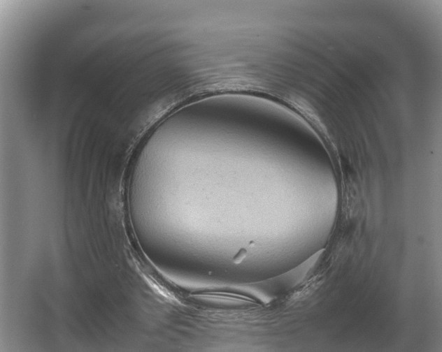 X0000064040389200602031603