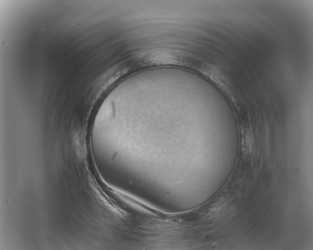 X0000064040390200602031603