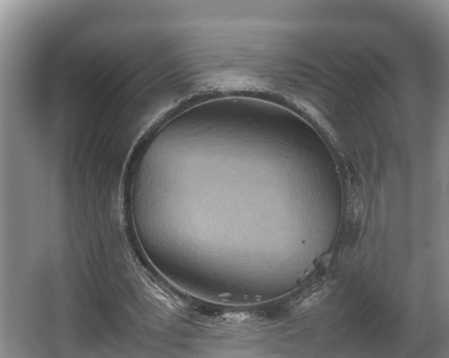 X0000064040391200602031603