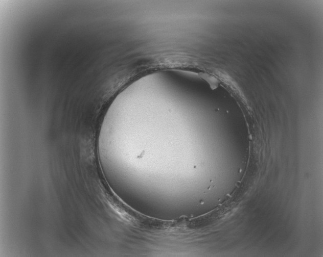 X0000064040393200602031603