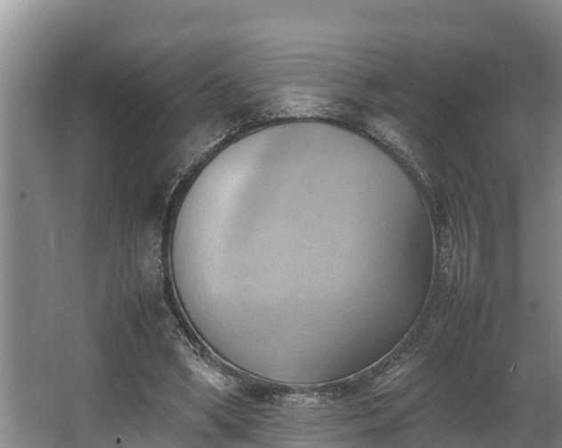 X0000064040394200602031603