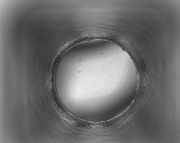 X0000064040395200602031603