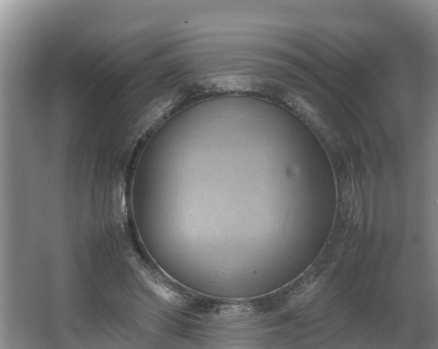 X0000064040398200602031603