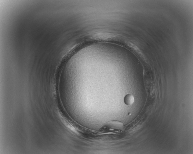 X0000064040399200602031603