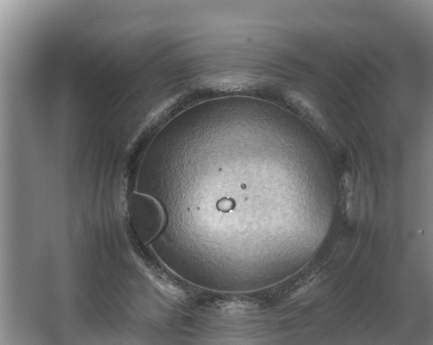 X0000064040400200602031603