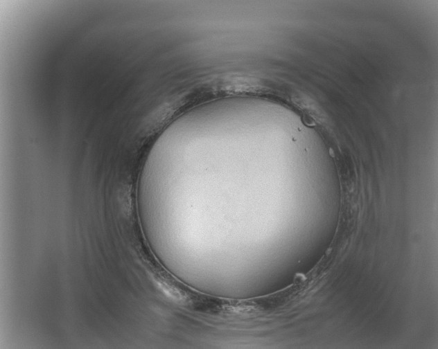 X0000064040401200602031603