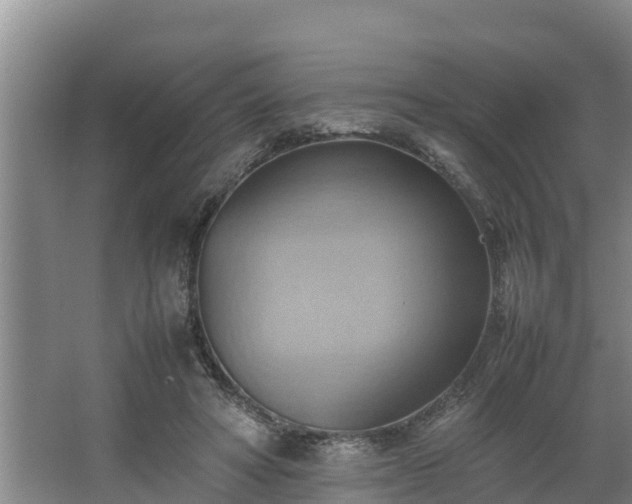 X0000064040402200602031603