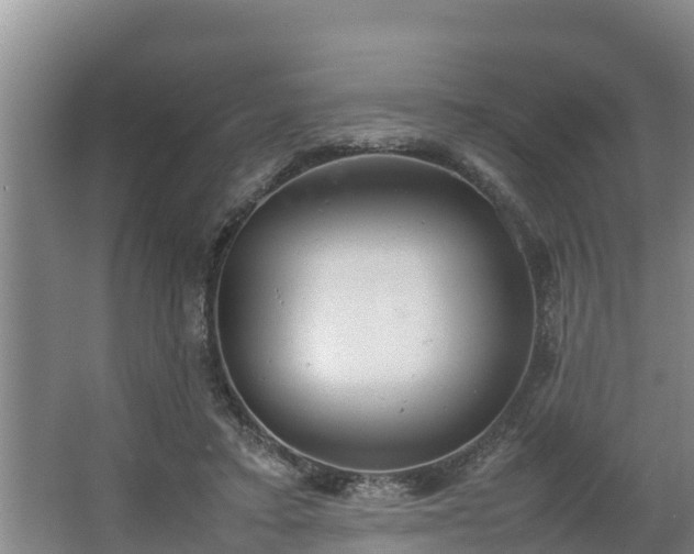 X0000064040403200602031603