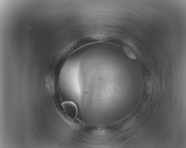 X0000064040404200602031603