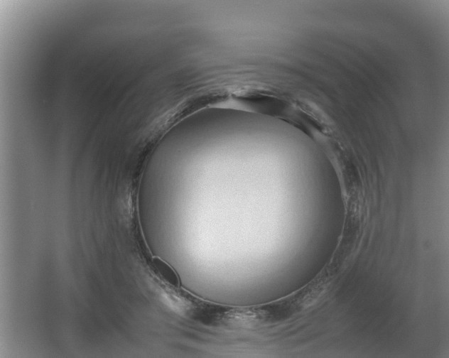 X0000064040405200602031603