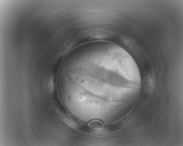 X0000064040406200602031603