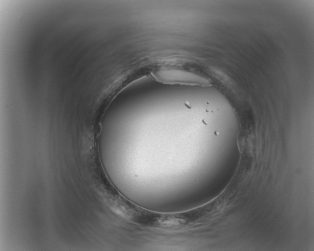 X0000064040407200602031603