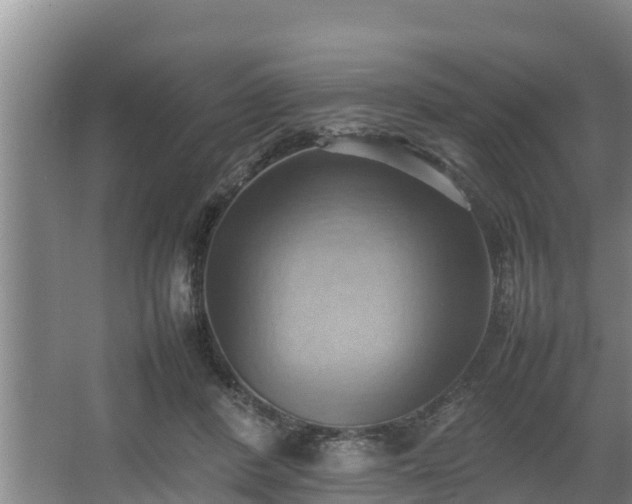 X0000064040408200602031603