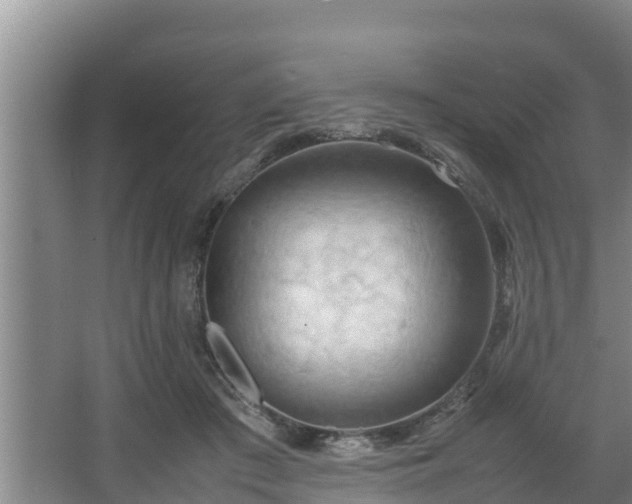 X0000064040409200602031603