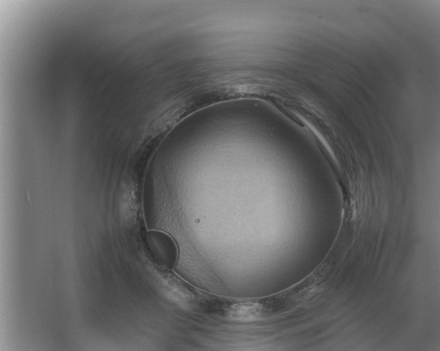 X0000064040410200602031603