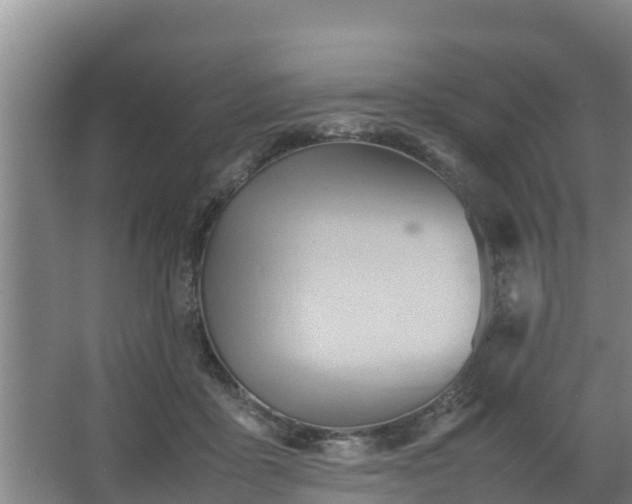 X0000064040411200602031603