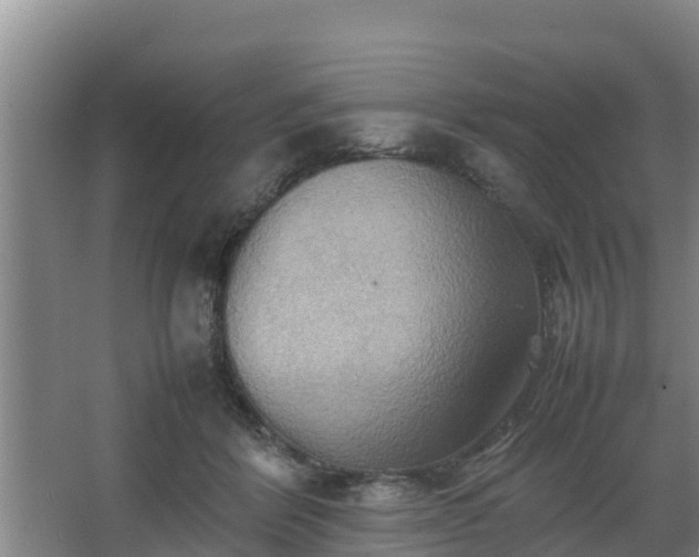 X0000064040412200602031602