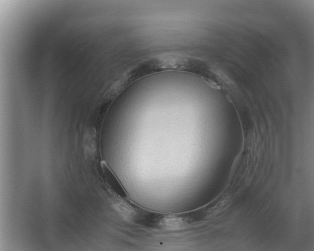 X0000064040413200602031602