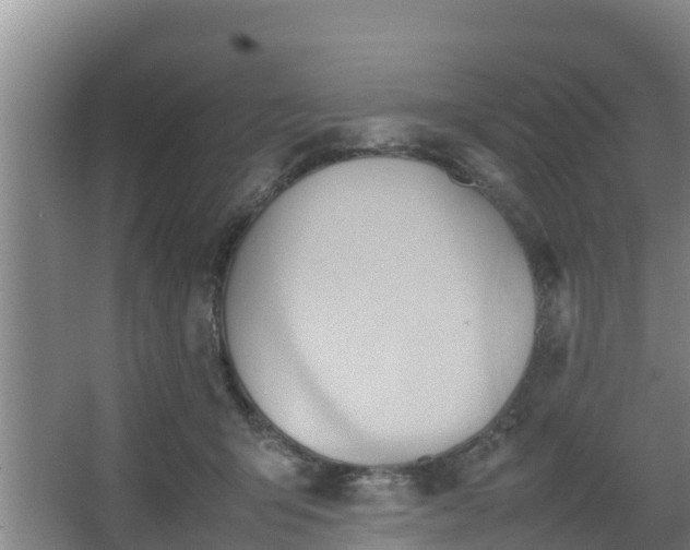 X0000064040415200602031602