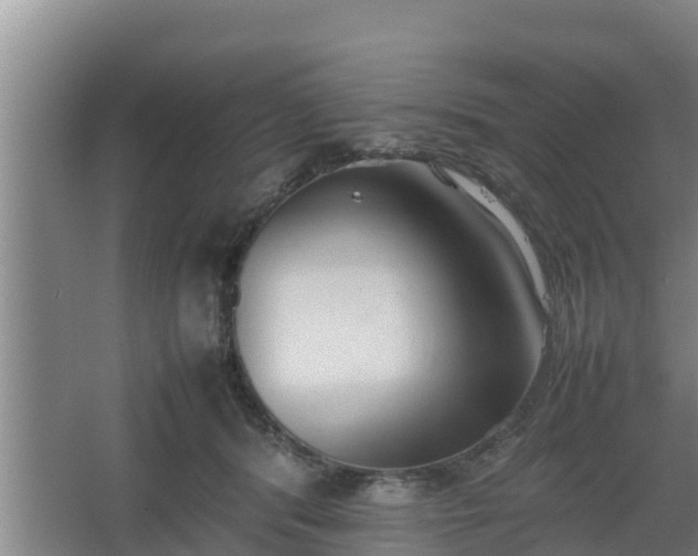 X0000064040416200602031602