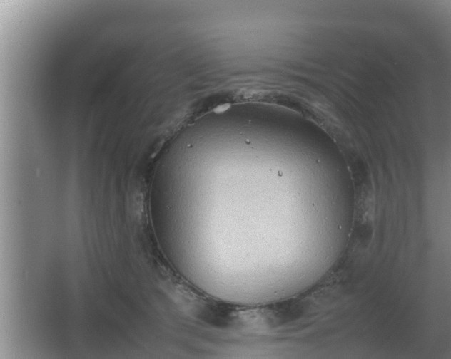 X0000064040417200602031602