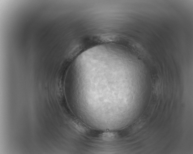 X0000064040418200602031602